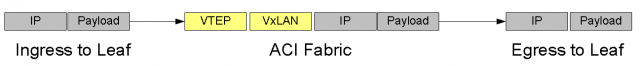 What is Cisco ACI Fabric